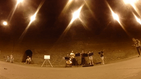 GIF by La Capital