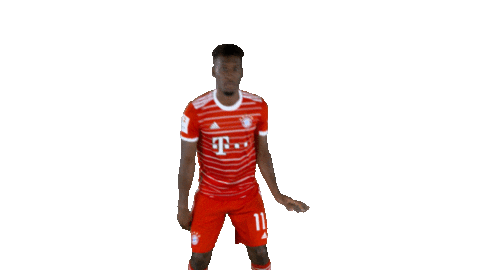 Football Win Sticker by FC Bayern Munich