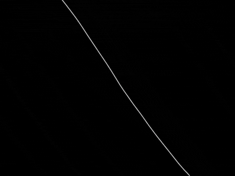 Propel Flower Power GIF by Barbara Pozzi