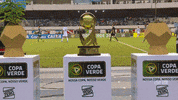 mato grosso football GIF by Confederação Brasileira de Futebol