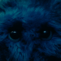 Music Video Eyes Closed GIF by Ed Sheeran