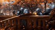 Wolf Echo GIF by systaime