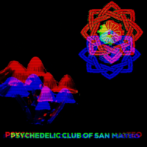 psychedelicsanmateo giphygifmaker dance party tv GIF