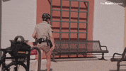 Reno 911 GIF by The Roku Channel
