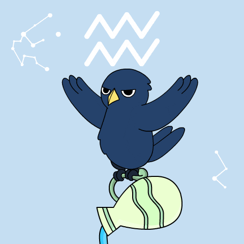 Bitcoin Crow GIF by Ordinary Frends