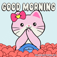 Good Morning Love GIF by Silly Kitties