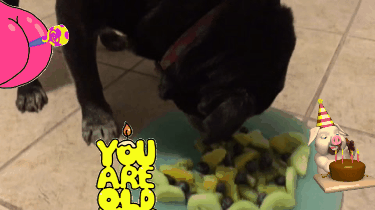 GIF by collin
