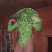 Kokomo GIF