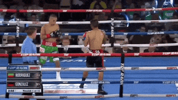 toprank fight boxing fighting espn GIF