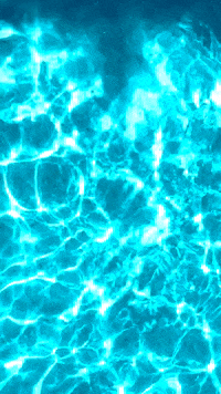 Swimming Pool Girl GIF by Casol