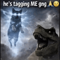 Tag Wolf GIF