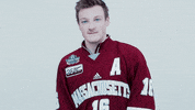 ncaasports hockey college ncaa ice GIF
