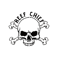 Skull Sticker by Reef Chief Australia