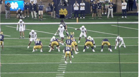 Derp42 giphyupload GIF