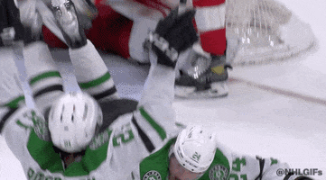 Ice Hockey Sport GIF by NHL