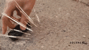 Car Crash Bang GIF by Better Noise Music