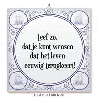 Moment Nl GIF by Tegelspreuken.nl