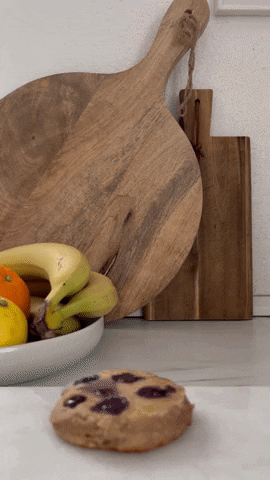 theCat1411  GIF
