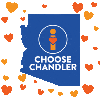 Arizona Shoplocal Sticker by Visit Chandler