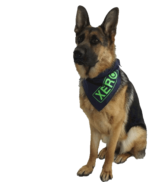 xeroproducts giphyupload dog window woof Sticker