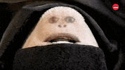 Dog GIF by BuzzFeed