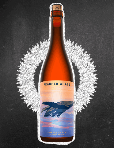 drakesbeer giphyupload craftbeer sourbeer indiebeer GIF