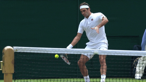 tennis roger GIF by Wimbledon