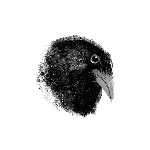 Amanda_Siworae giphyupload GIF