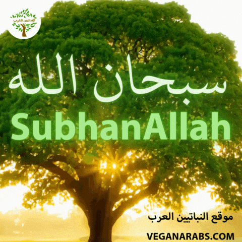 الله GIF by VeganArabs