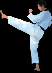 Martial Arts Sport GIF by vank