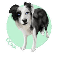Dog Sticker