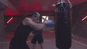 ver formula 1 GIF by Red Bull Racing