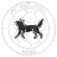 Switzerland Fussballclub Sticker