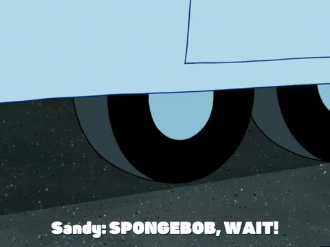 season 5 GIF by SpongeBob SquarePants