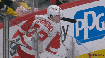 Happy Red Wings GIF by NHL
