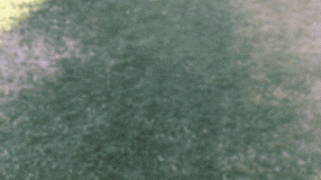 threddy no threddy GIF