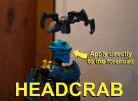 forehead GIF