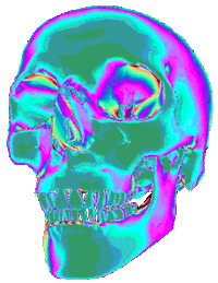 3D Skull Sticker by badblueprints