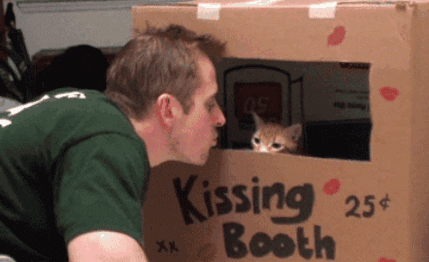 cuteanimalland giphyupload GIF