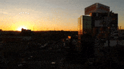 Palibex transporte pale logistica camión GIF