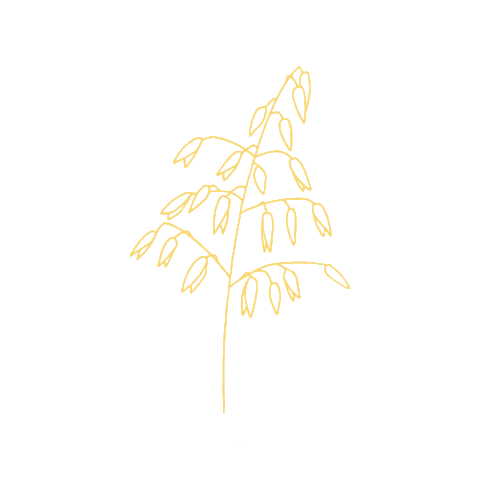 Bok Surdeig Sticker by Dalheim Gaard