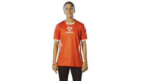 Team India Ipl Sticker by Dream11