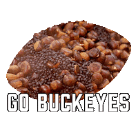 College Football Sport Sticker by Sealed With A GIF