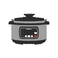 Pressure Cooker Instant Pot Sticker by GoWISE USA