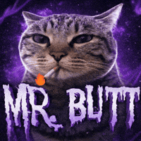 Cat Kitty GIF
