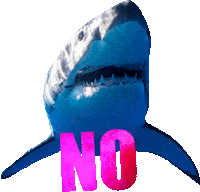 Discovery Channel No Sticker by Shark Week