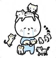 Happy Street Cat GIF