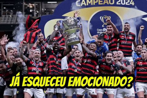 Flamengo 2024 GIF