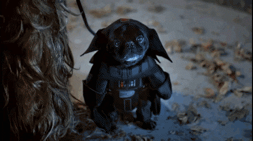star wars halloween GIF by ADWEEK