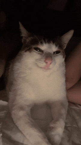 Oab Bao Bao GIF